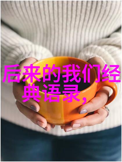 梦想之星追逐光芒的无畏者