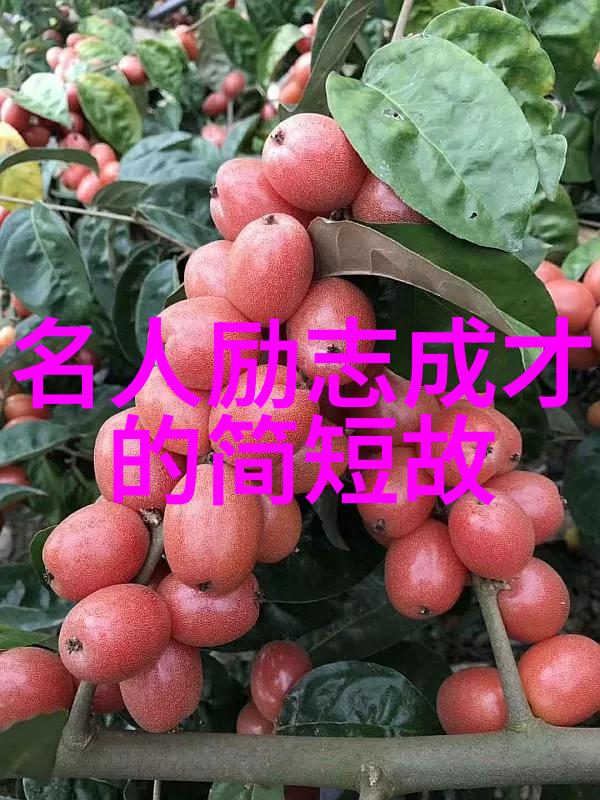 文字的魔力张爱玲的智慧抒怀
