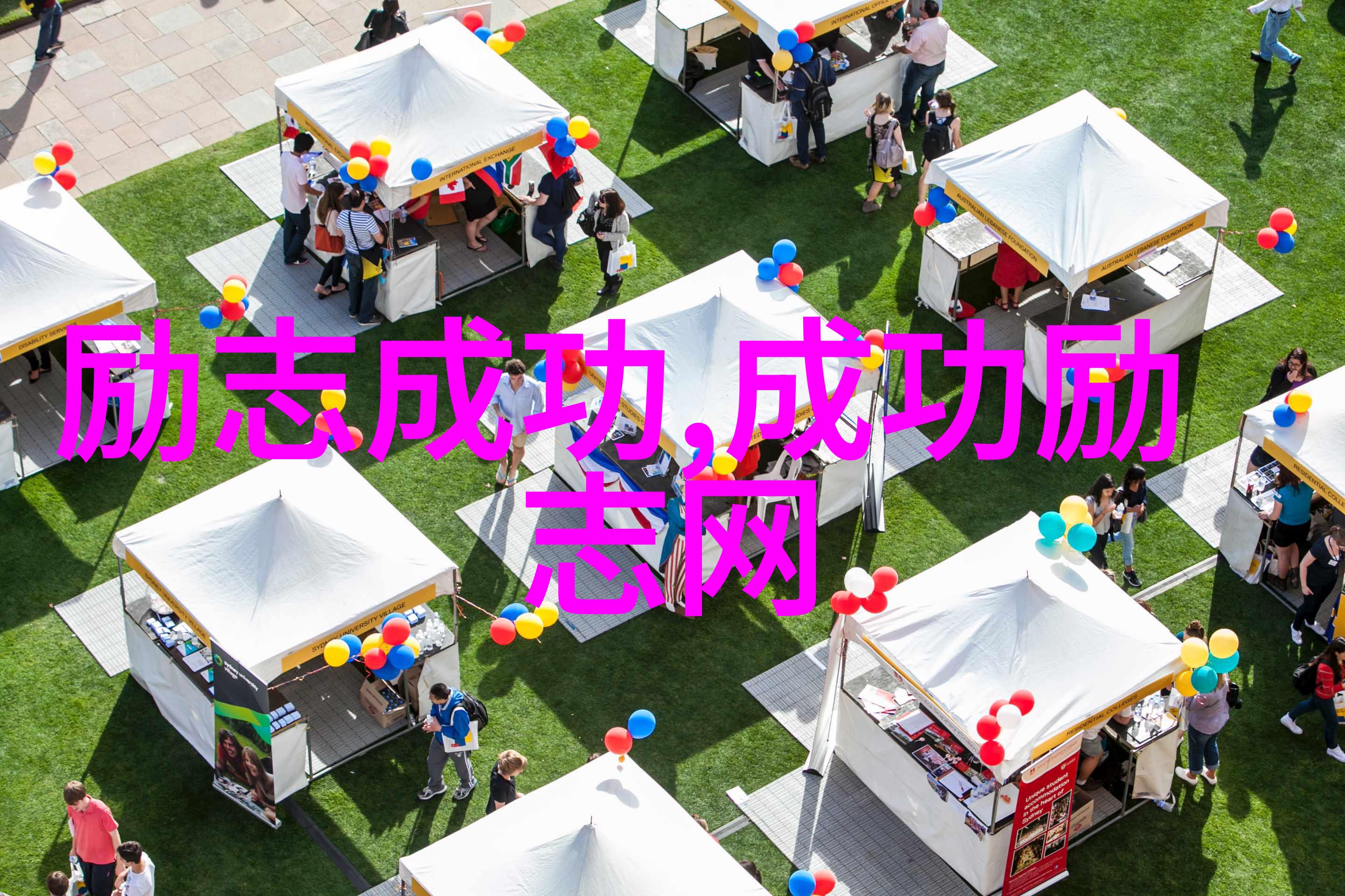 逆袭偶像从小-town到世界舞台的传奇征程