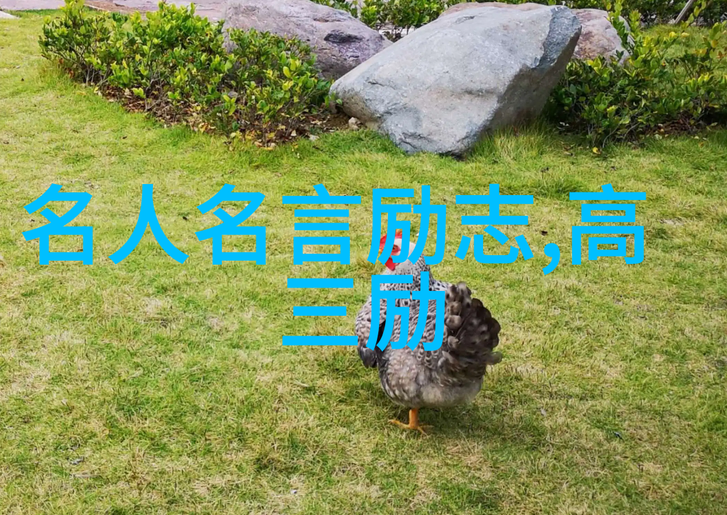 致奋斗路上的自己十大消除心情烦躁的权威方法