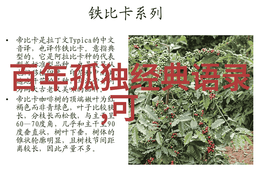 混沌中的和谐家庭大杂乱时刻的温馨对话