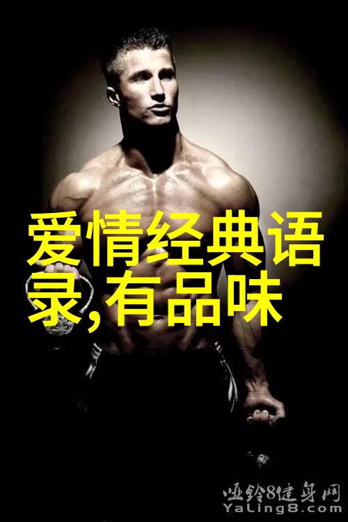 月光下的梦想宫崎骏的爱情篇章