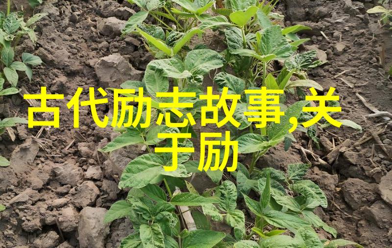 宝宝的归来免费观看的温馨重逢