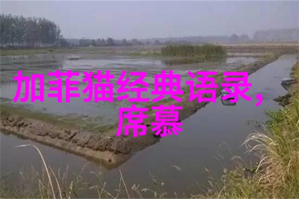 温暖人心的守护者一位传递正能量的故事