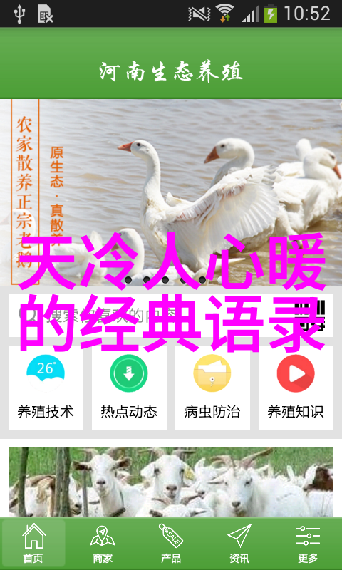 分享人物励志故事我的奋斗之旅从这里开始