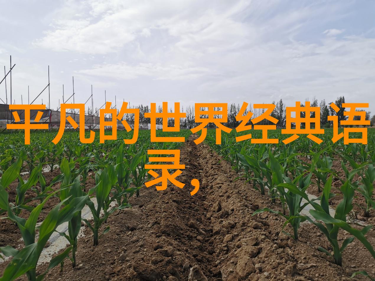 奋发向前努力奋斗的头像之旅