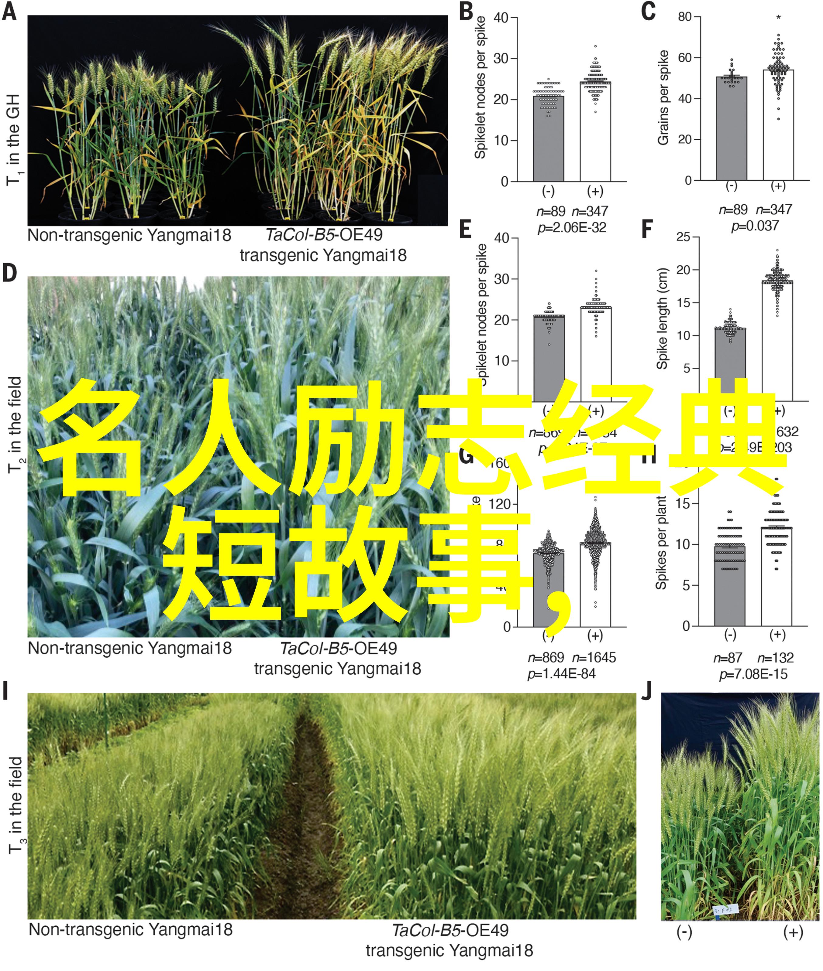 20岁末年禁止观看别让我再看到这些画面揭秘青春禁区