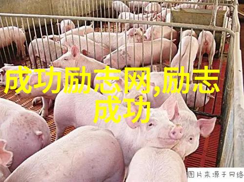 经典语录大全-穿梭时空的智慧经典语录大全