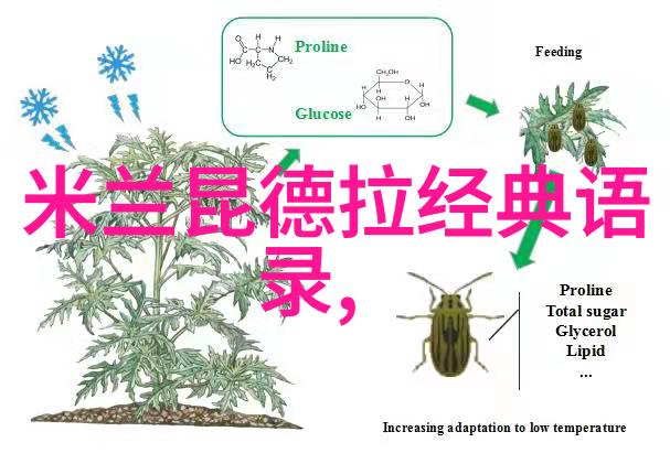 灵魂启航心灵深处的鸡汤篇章