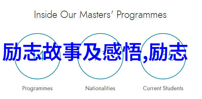 离婚的决心一位女人的心理探索