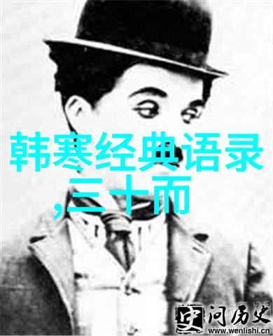 莞式三十六式视频-探秘莞式武术解读其独特的三十六式动作