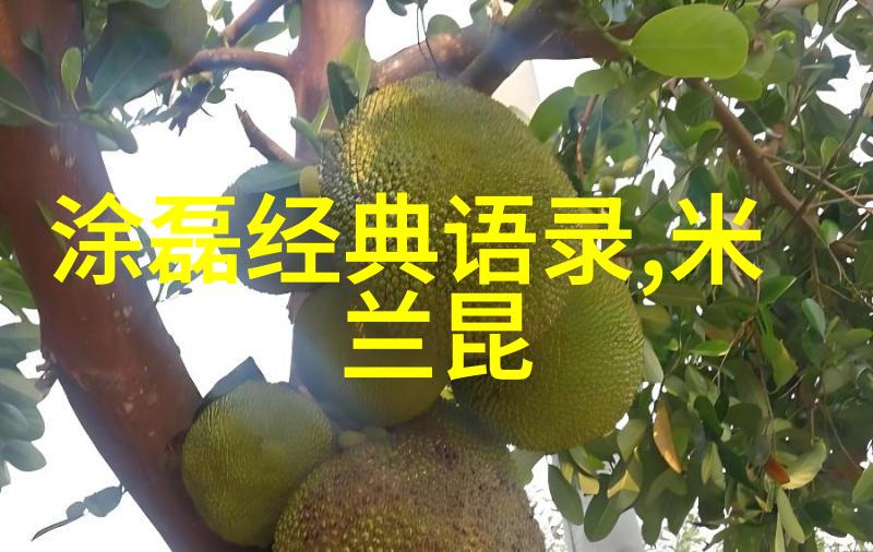 情感语录深爱的早晨与那伤感的小说中的物品