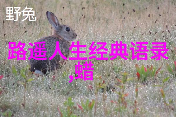郭德纲相声经典语录-笑谈江湖郭德纲相声中的幽默智慧