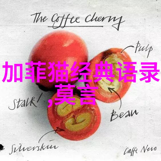 星光点亮梦想之旅偶像与粉丝的精神共鸣