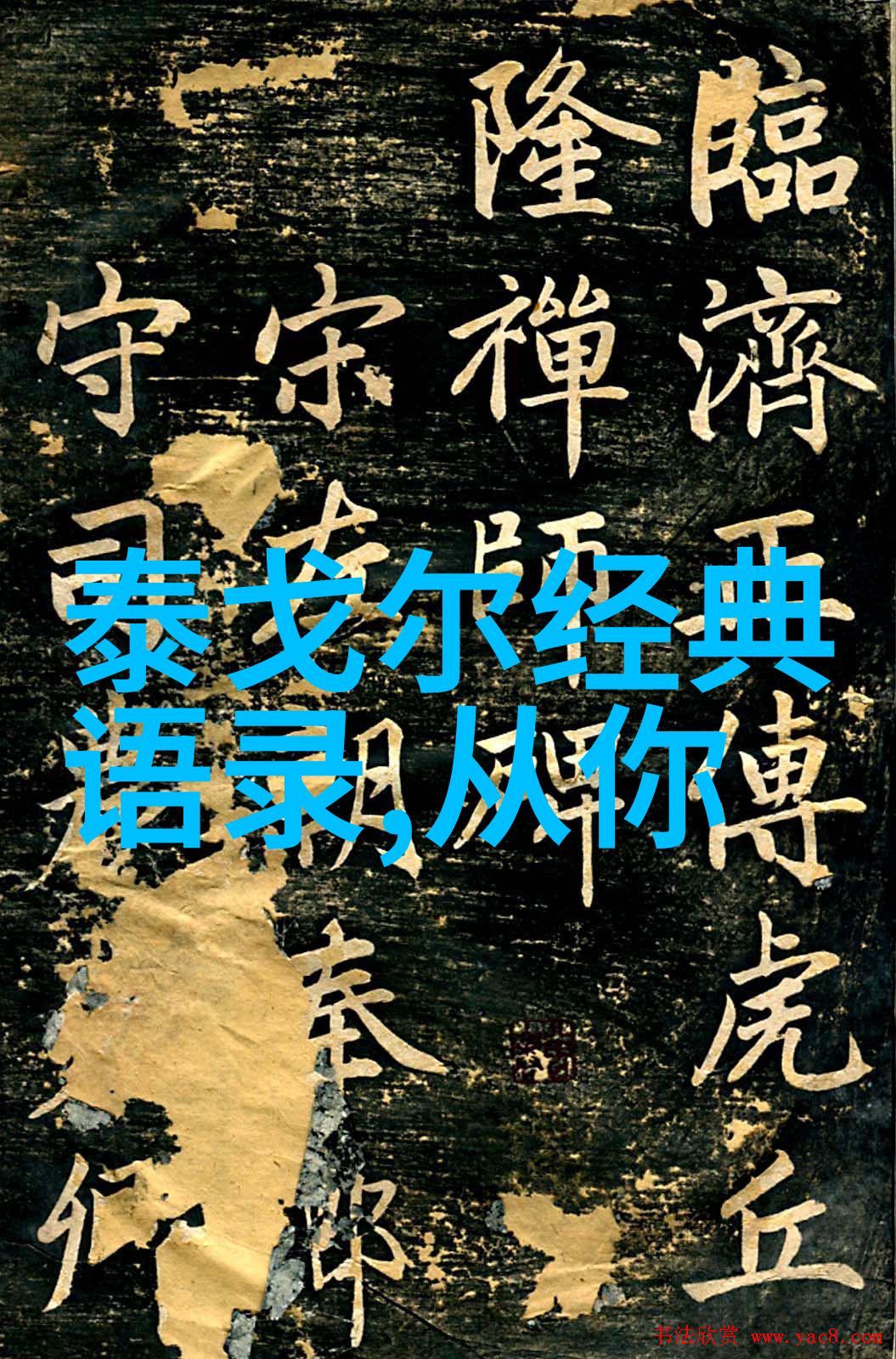 激励人心的名言精选引领成功之路的智慧语录