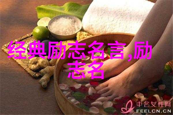 校园精神的化身追逐梦想的旅者