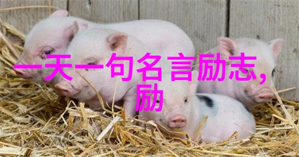 星光下人类间最真挚的情感