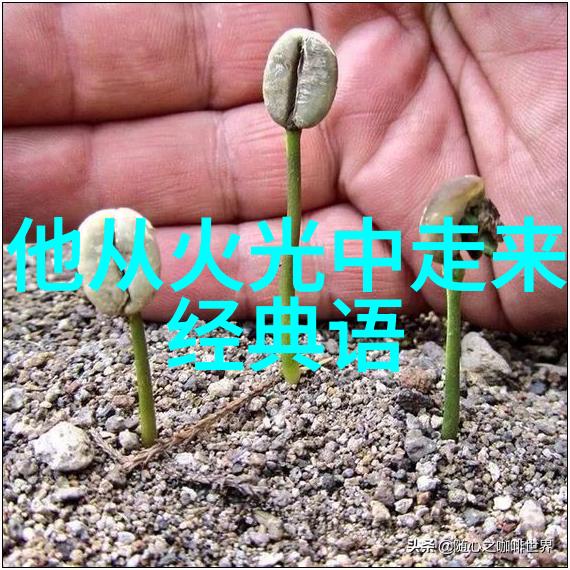 30分钟激励短片提升工作效率的快速动力