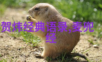 隐逸生活陶渊明逃离尘世的心路历程