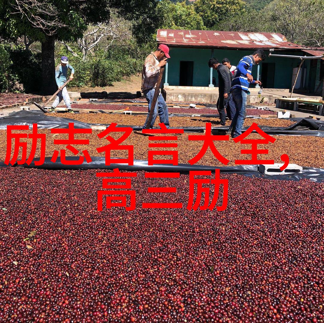 友誼的一句話是否真的能以一言蔽之