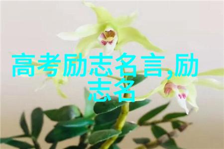 中国典型人物励志故事现代JK罗琳成长的奇迹之旅生命最美的奖赏