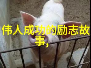仙踪林亲情盛宴一家人共度假日欢乐时光