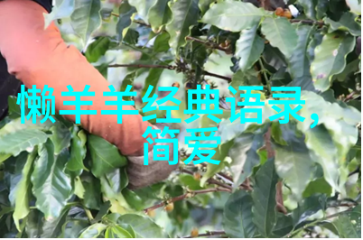 网站你知道我的意思的免费服务网上沟通工具的无偿体验