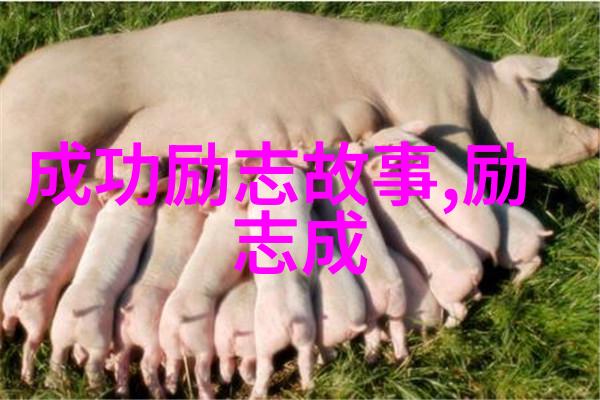 乱妃-宫廷风云录乱妃的悲欢离合