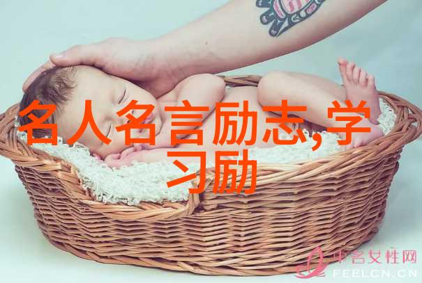 追寻真理的永恒迷雾
