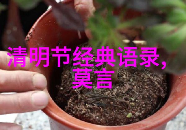 在京东联盟APP中高佣金联盟又被称为什么呢唯美的爱情散文里有没有描述过这样的场景