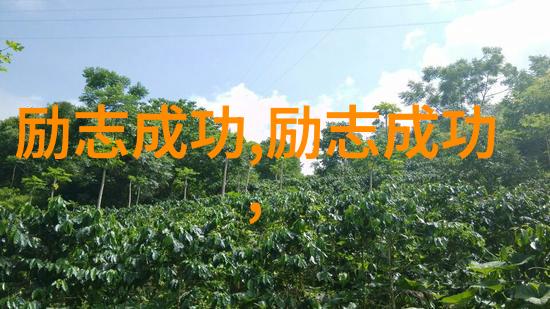 中国正能量人物事迹简短传递希望的故事