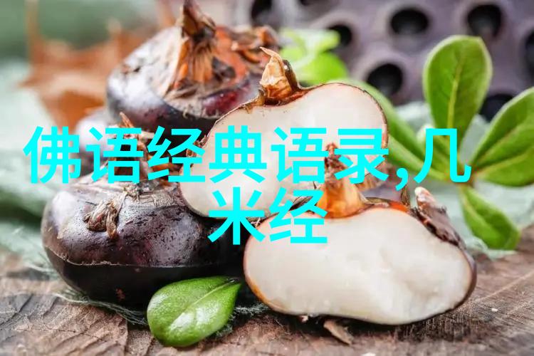 铃芽之旅经典语录-守护心灵的灯塔铃芽之旅中最动人的话语