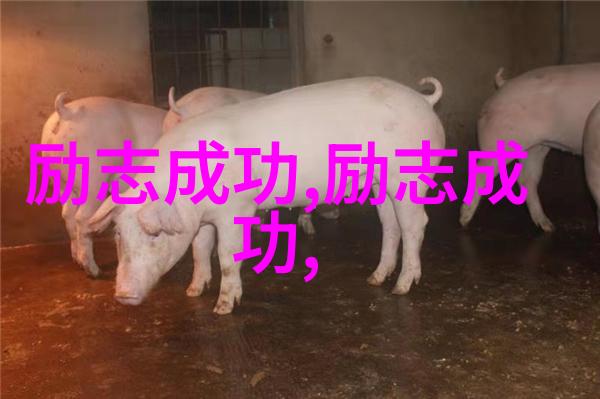 婚姻情感的深度探索如何重塑爱情关系