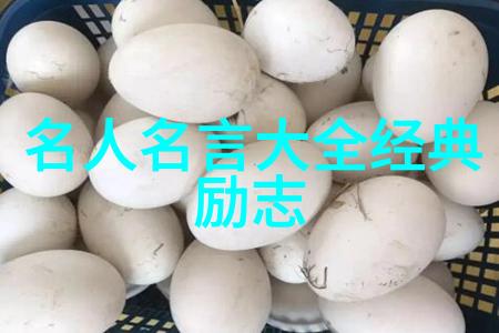 李易峰王小波经典语录数据驱动解析