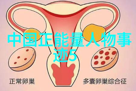 人间失格中的哲学深度寻觅自我真相的旅程