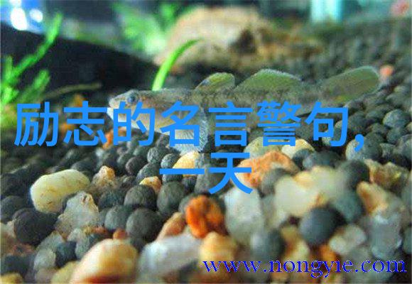 婆媳投资对策精明婆婆尽在掌控免费观看婆媳电视剧40集完整版