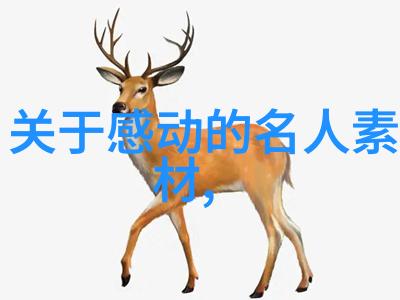 在当代社会里我们可以怎样将张愛瓮的心灵世界与现代生活相结合