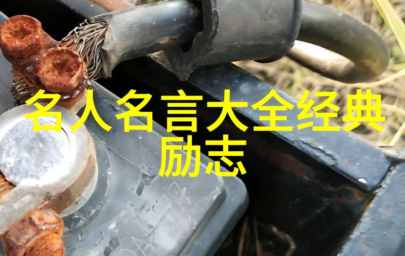 逆袭之星一位励志人物的辉煌历程