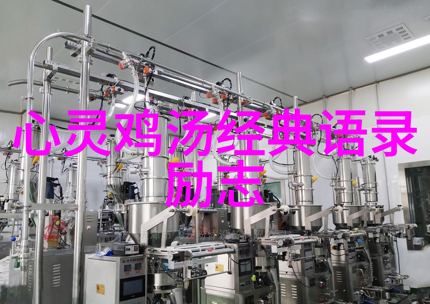 当代网络红人能否成为新的学子心目中的偶像是值得讨论的问题
