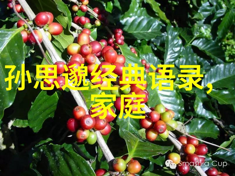七夕情话大全QQ空间留言板十句浪漫寄语