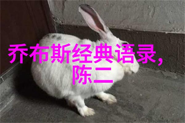 温暖的爱情故事