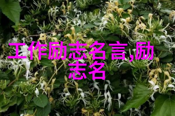 伟大人物的事迹素材你知道吗这位科学家的奇迹竟然让我们今天能用手机看视频