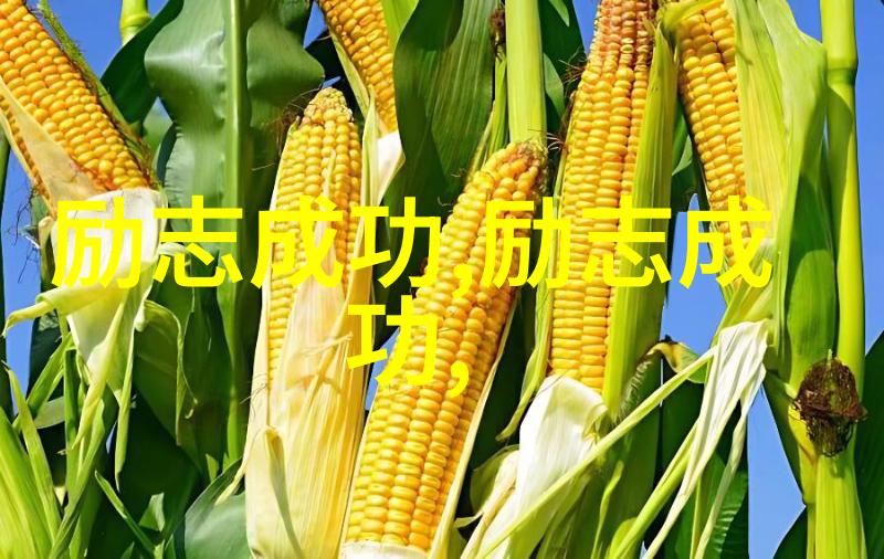 母亲与子的对话-跨文化的亲情纽带