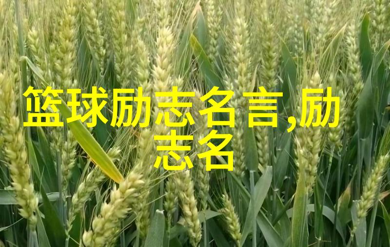偶像的传奇探索名人背后的故事偶像成长名人经历