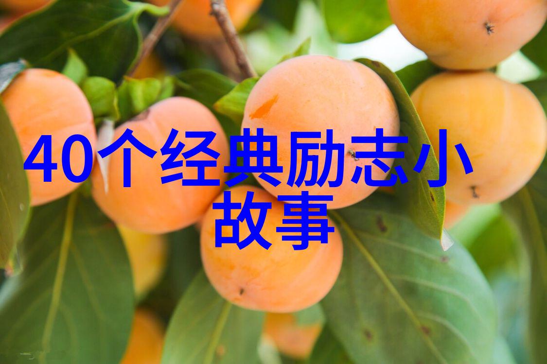 梦想启航年度最有希望的青春力量