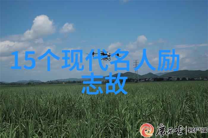 婆媳的战国时代结局教你如何和婆婆和谐共处打破隔阂拥抱温馨家庭