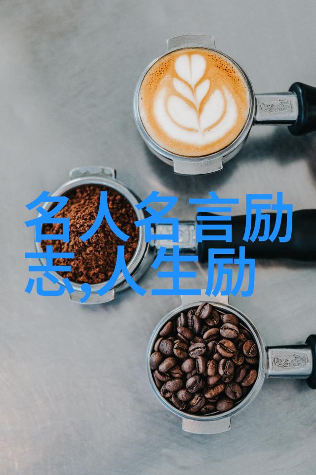 逆袭之旅从菜市场到世界舞台