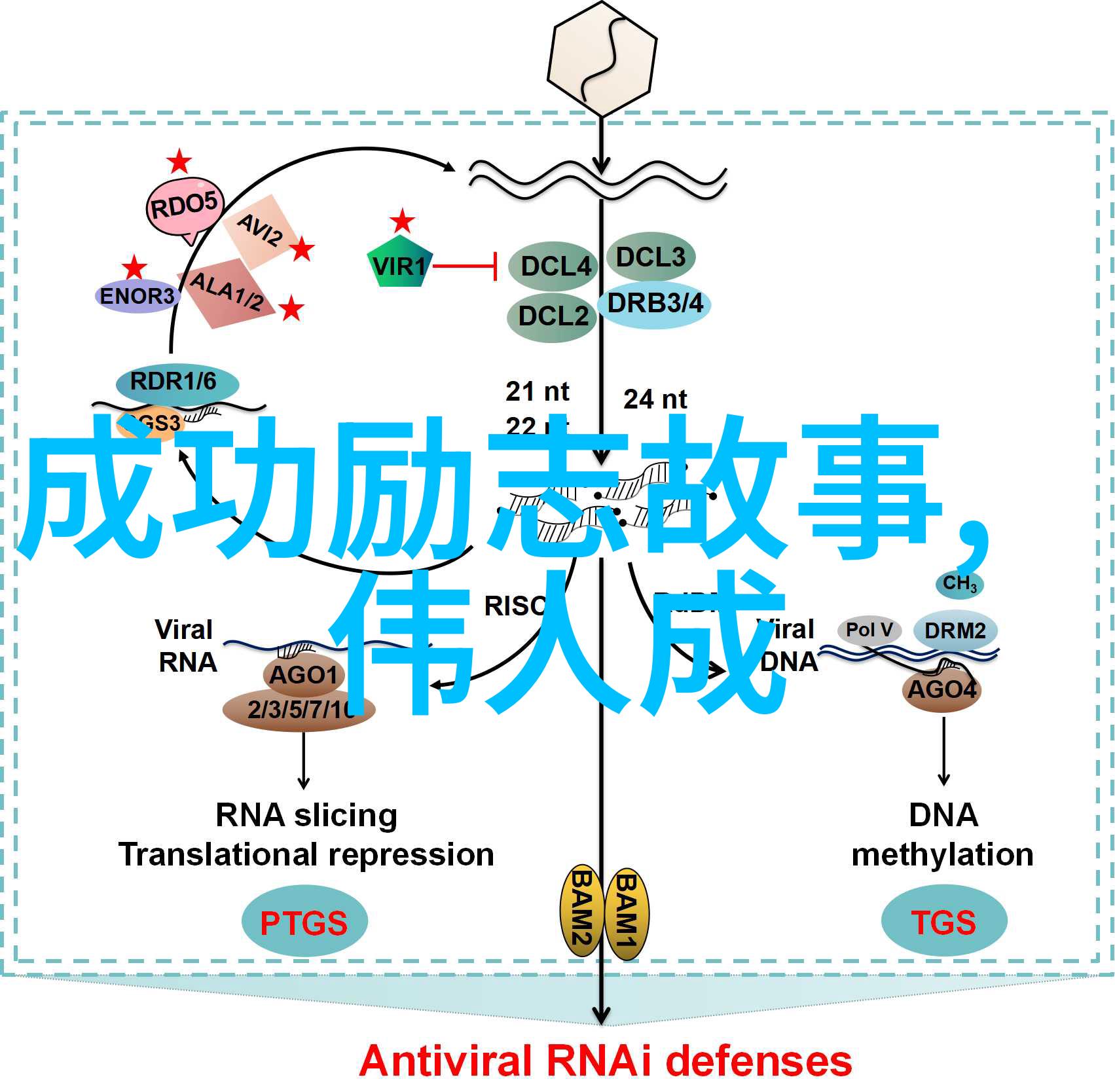 我们的故事永远不会消失