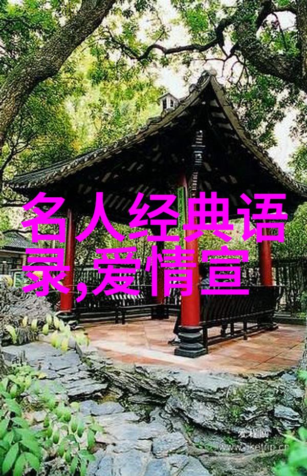 追梦者之旅跨越困境的励志故事汇编