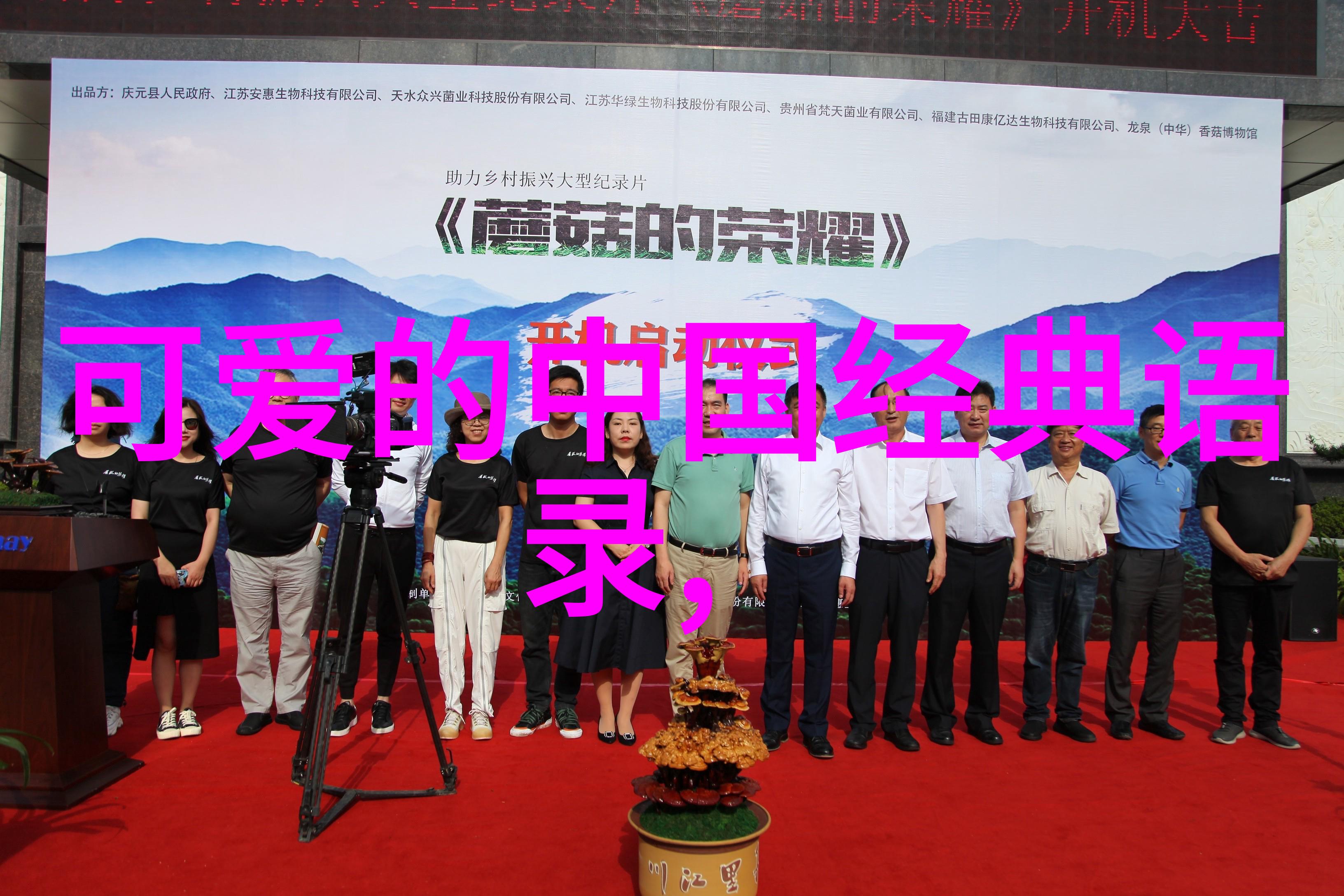 寻找那片安静的海岸村上春树的话语中的宁静